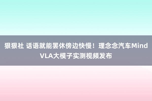 狠狠社 话语就能罢休傍边快慢！理念念汽车MindVLA大模子实测视频发布