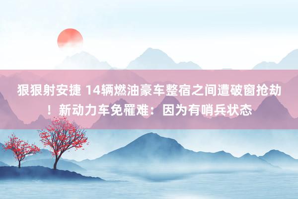 狠狠射安捷 14辆燃油豪车整宿之间遭破窗抢劫！新动力车免罹难：因为有哨兵状态