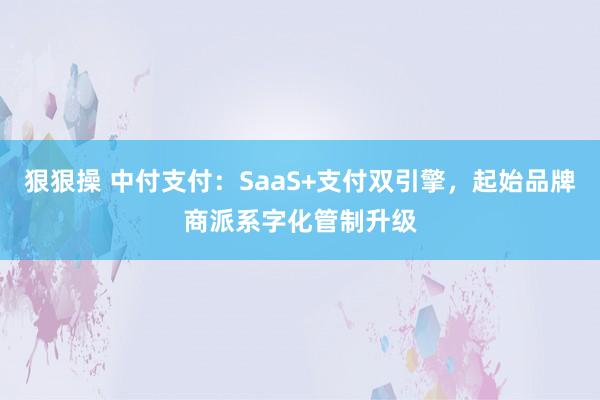 狠狠操 中付支付：SaaS+支付双引擎，起始品牌商派系字化管制升级