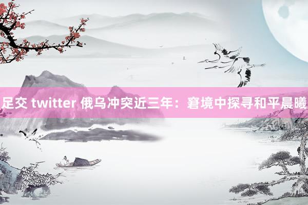 足交 twitter 俄乌冲突近三年：窘境中探寻和平晨曦