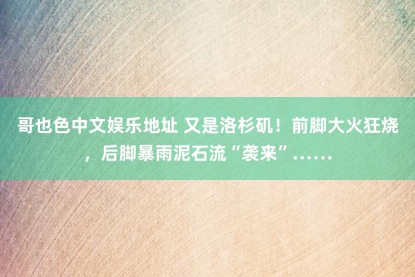 哥也色中文娱乐地址 又是洛杉矶！前脚大火狂烧，后脚暴雨泥石流“袭来”……