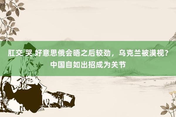 肛交 哭 好意思俄会晤之后较劲，乌克兰被漠视？中国自如出招成为关节