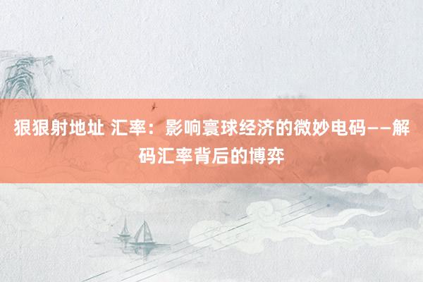 狠狠射地址 汇率：影响寰球经济的微妙电码——解码汇率背后的博弈