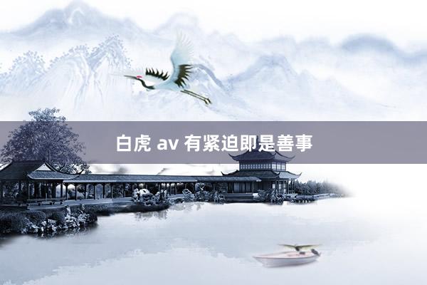 白虎 av 有紧迫即是善事