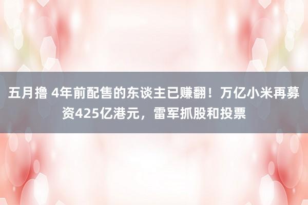 五月撸 4年前配售的东谈主已赚翻！万亿小米再募资425亿港元，雷军抓股和投票