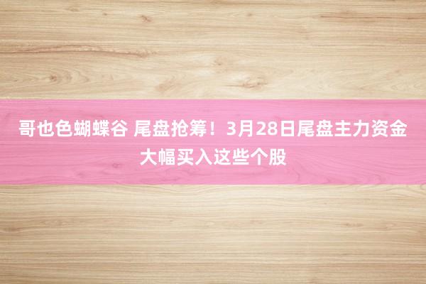 哥也色蝴蝶谷 尾盘抢筹！3月28日尾盘主力资金大幅买入这些个股