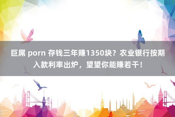 巨屌 porn 存钱三年赚1350块？农业银行按期入款利率出炉，望望你能赚若干！