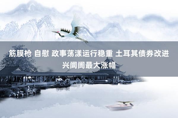 筋膜枪 自慰 政事荡漾运行稳重 土耳其债券改进兴阛阓最大涨幅
