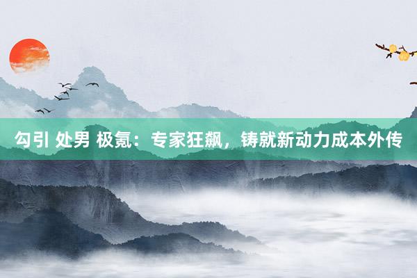 勾引 处男 极氪：专家狂飙，铸就新动力成本外传