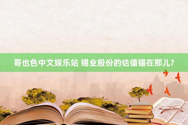 哥也色中文娱乐站 锡业股份的估值锚在那儿?