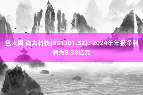 色人阁 尚太科技(001301.SZ): 2024年年报净利润为8.38亿元