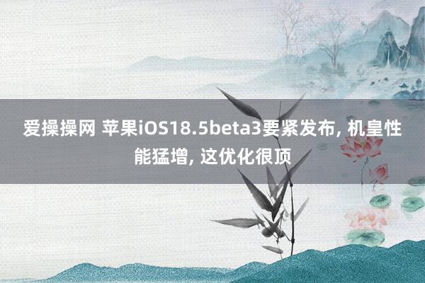 爱操操网 苹果iOS18.5beta3要紧发布, 机皇性能猛增, 这优化很顶