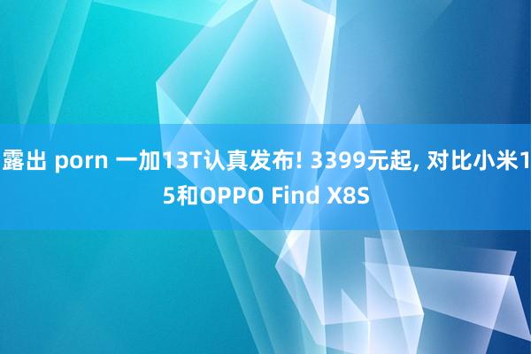 露出 porn 一加13T认真发布! 3399元起, 对比小米15和OPPO Find X8S
