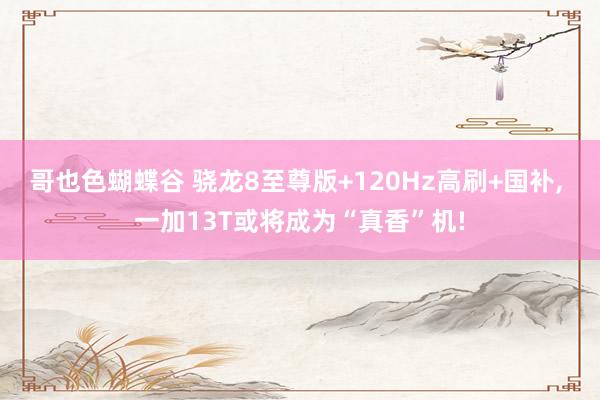 哥也色蝴蝶谷 骁龙8至尊版+120Hz高刷+国补, 一加13T或将成为“真香”机!