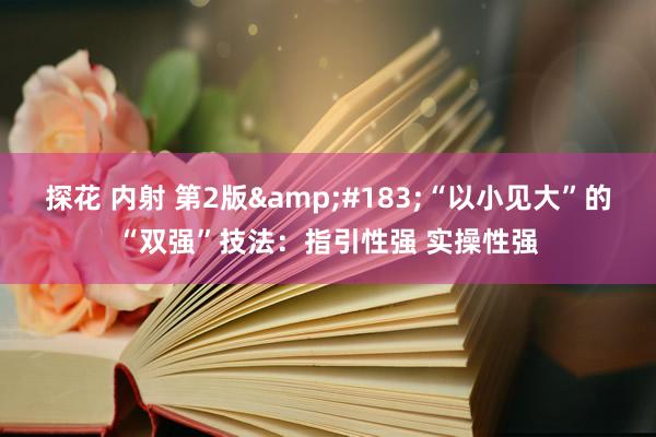 探花 内射 第2版·“以小见大”的“双强”技法:指引性强 实操性强