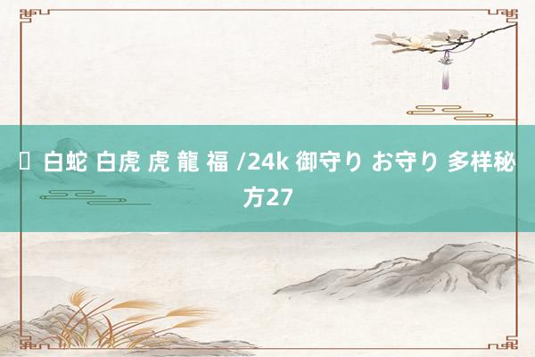 ✨白蛇 白虎 虎 龍 福 /24k 御守り お守り 多样秘方27