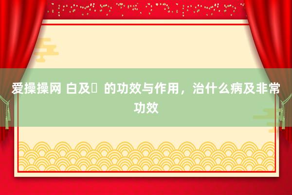 爱操操网 白及​的功效与作用，治什么病及非常功效