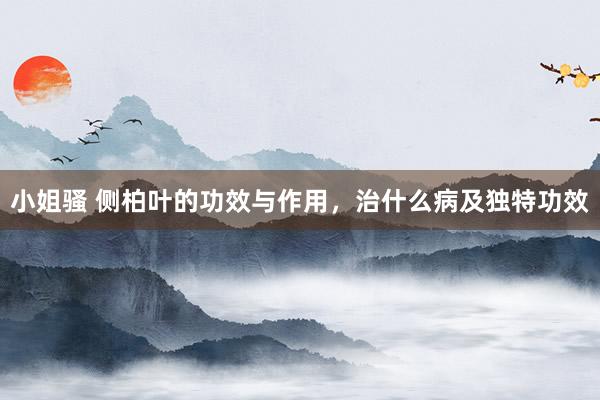 小姐骚 侧柏叶的功效与作用，治什么病及独特功效