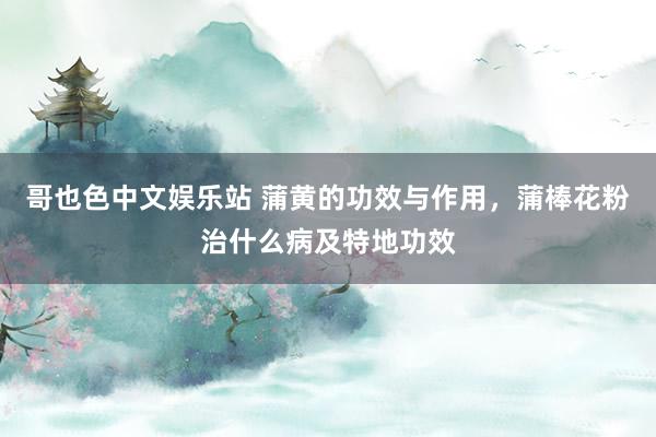 哥也色中文娱乐站 蒲黄的功效与作用，蒲棒花粉治什么病及特地功效