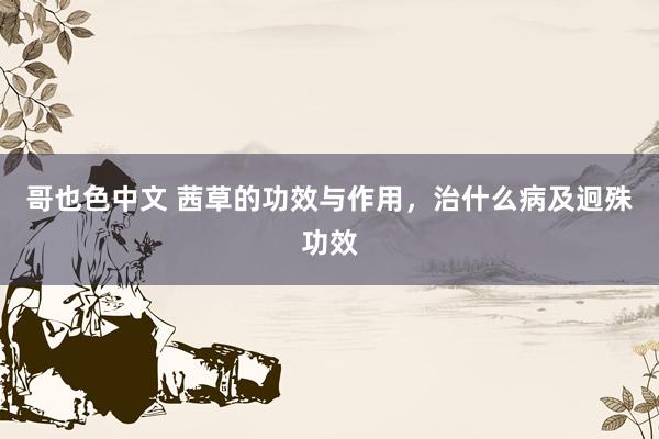 哥也色中文 茜草的功效与作用，治什么病及迥殊功效