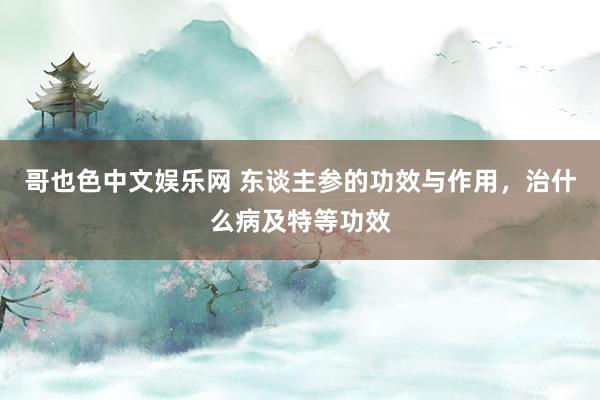 哥也色中文娱乐网 东谈主参的功效与作用，治什么病及特等功效