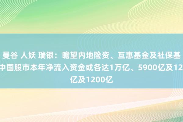 曼谷 人妖 瑞银：瞻望内地险资、互惠基金及社保基金对中国股市本年净流入资金或各达1万亿、5900亿及1200亿
