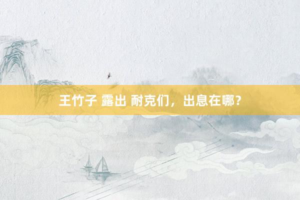 王竹子 露出 耐克们，出息在哪？