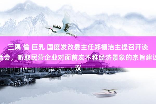 三隅 倫 巨乳 国度发改委主任郑栅洁主捏召开谈话会，听取民营企业对面前宏不雅经济景象的宗旨建议