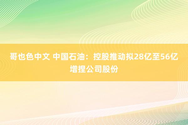 哥也色中文 中国石油：控股推动拟28亿至56亿增捏公司股份