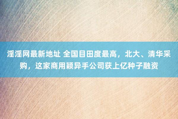 淫淫网最新地址 全国目田度最高，北大、清华采购，这家商用颖异手公司获上亿种子融资