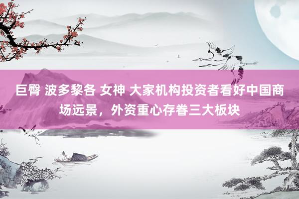 巨臀 波多黎各 女神 大家机构投资者看好中国商场远景，外资重心存眷三大板块